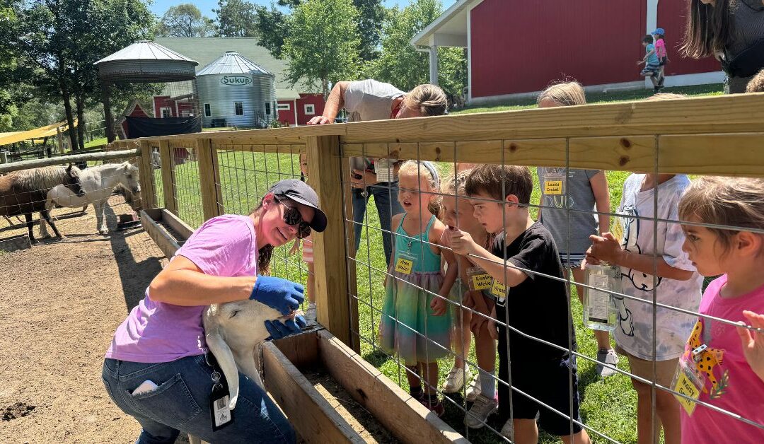 Compassionate Animal Care at Canterbury Creek Farm Preschool