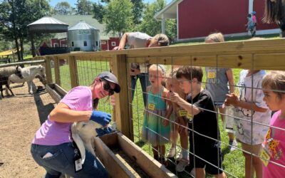 Compassionate Animal Care at Canterbury Creek Farm Preschool