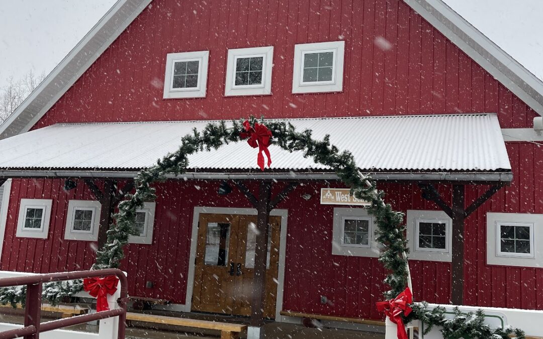A Festive December on the Farm