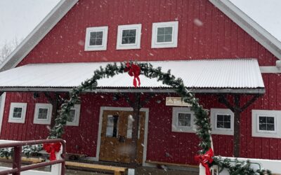 A Festive December on the Farm
